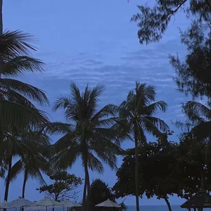 特黄一级毛片免费AAA
