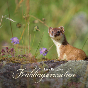 特黄一级毛片免费AAA
