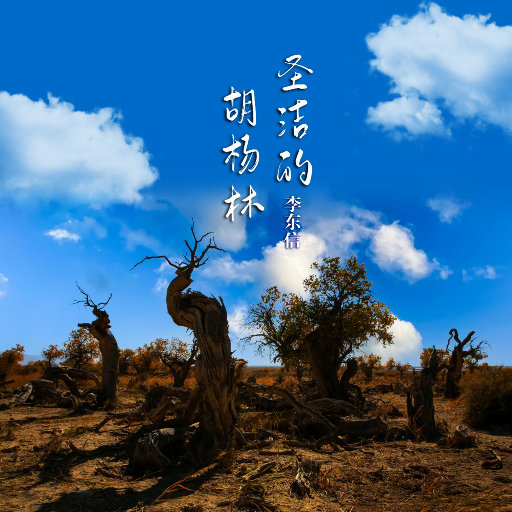 特黄一级毛片免费AAA
